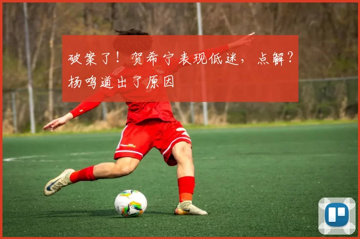 破案了！贺希宁表现低迷，点解？杨鸣道出了原因
