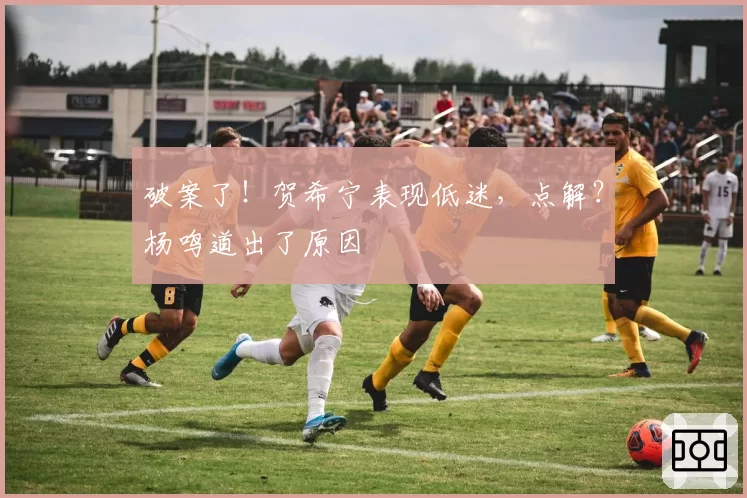 破案了！贺希宁表现低迷，点解？杨鸣道出了原因