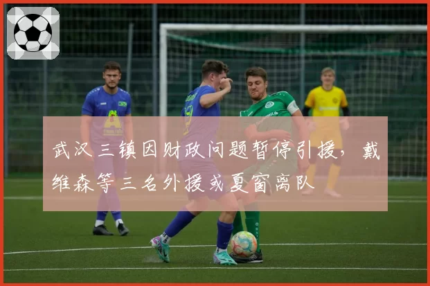 武汉三镇因财政问题暂停引援，戴维森等三名外援或夏窗离队
