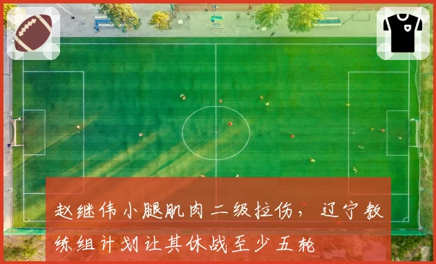 赵继伟小腿肌肉二级拉伤，辽宁教练组计划让其休战至少五轮