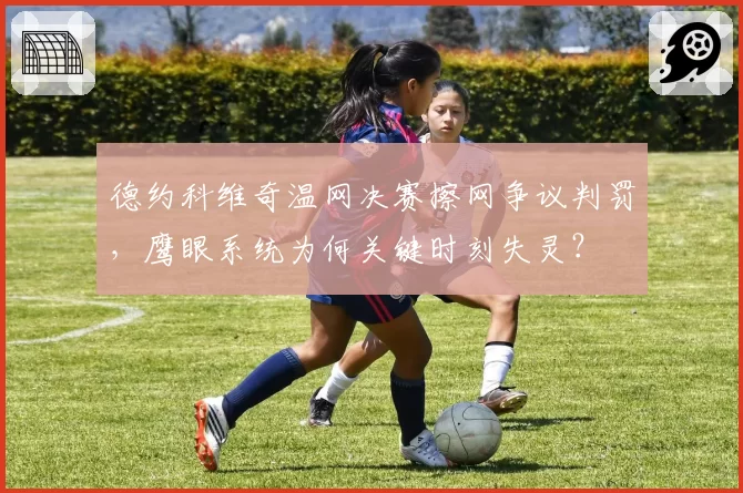 德约科维奇温网决赛擦网争议判罚，鹰眼系统为何关键时刻失灵？